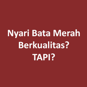 video_bata_merah_top